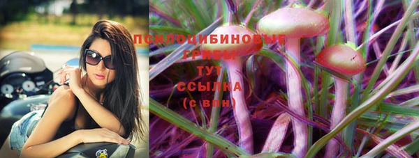 дурь Абаза