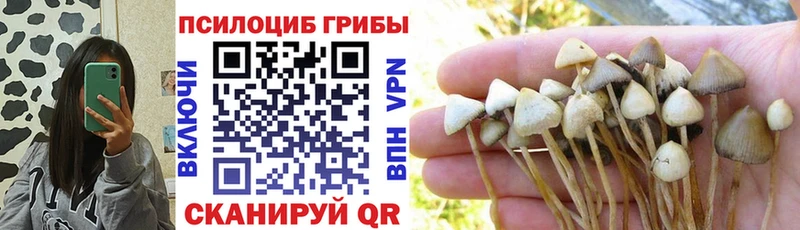 Галлюциногенные грибы мухоморы цена наркотик Шилка